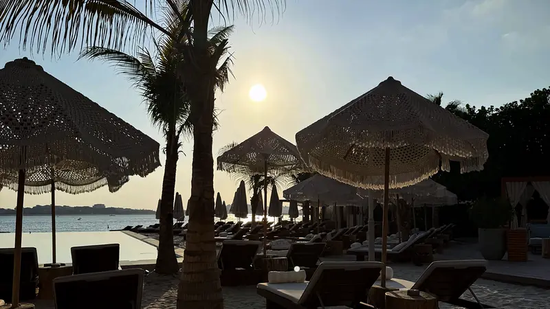 Palm trees, parasols and sunbeds on a Dubai beach as the sun sets