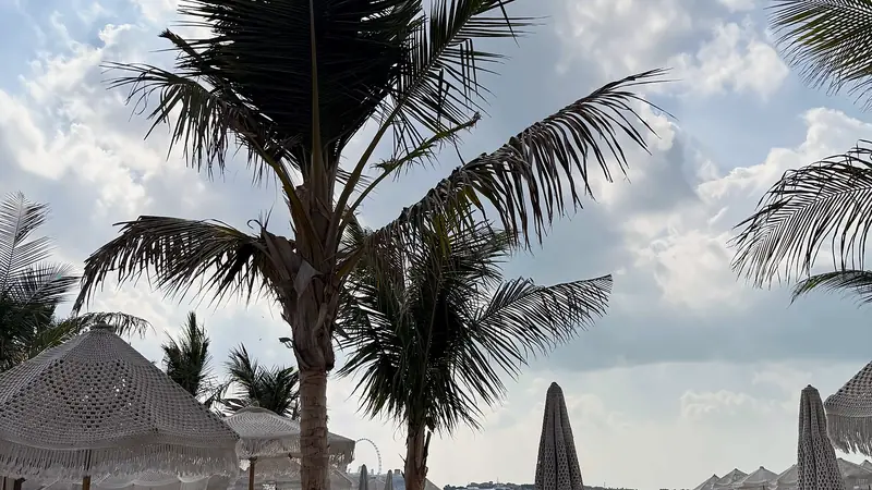Palm trees and loungers on a Dubai beach under a cloudy sky